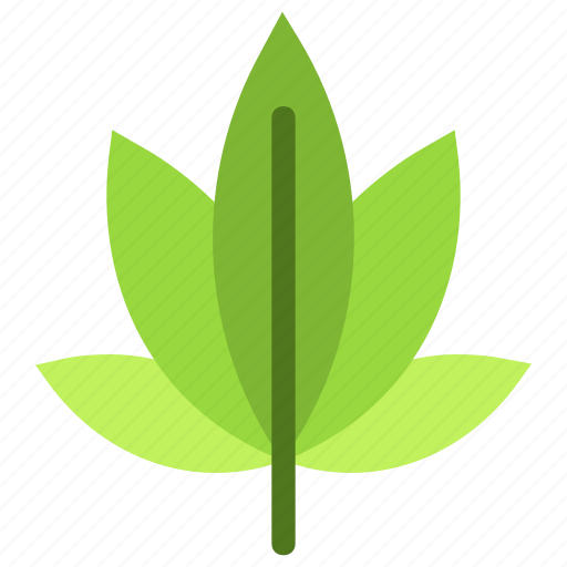 Cannabis, marijuanas, leaf, nature, ecology, botany, biology icon - Download on Iconfinder