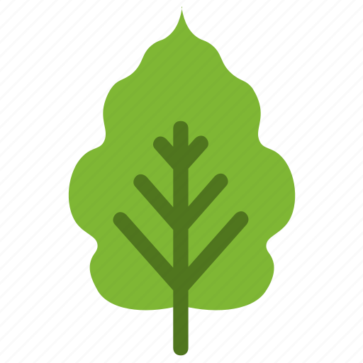 Cherry, leaf, nature, ecology, botany, biology icon - Download on Iconfinder