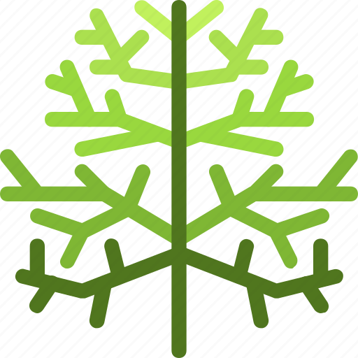 Cypress, leaf, nature, ecology, botany, biology icon - Download on Iconfinder