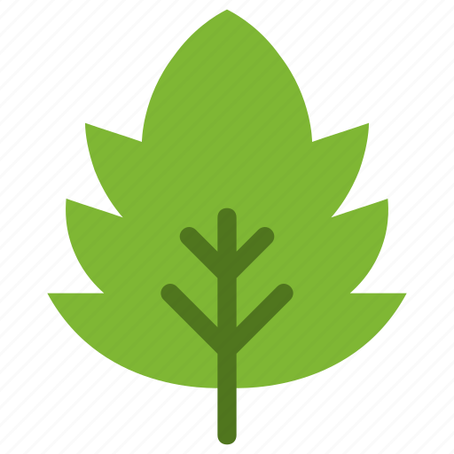Downy, hawthorn, leaf, nature, ecology, botany, biology icon - Download on Iconfinder