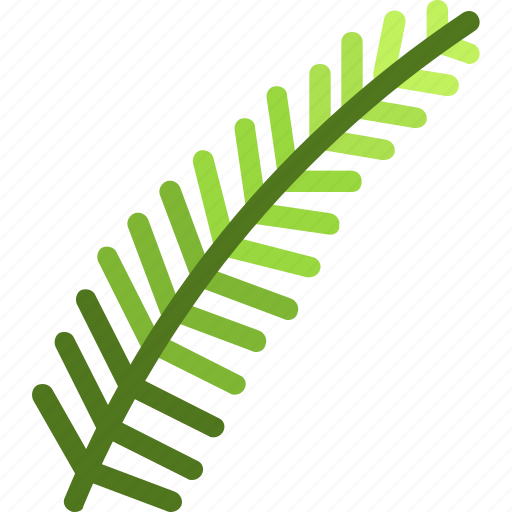 Fern, frond, leaf, nature, ecology, botany, biology icon - Download on Iconfinder