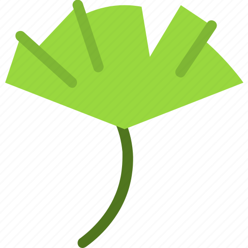 Ginkgo, leaf, nature, ecology, botany, biology icon - Download on Iconfinder