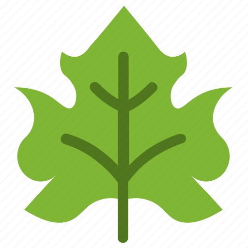 Grape, vine, leaf, nature, ecology, botany, biology icon - Download on Iconfinder