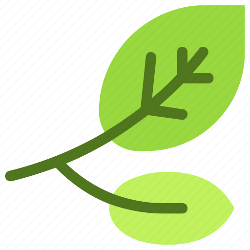Leaves, leaf, nature, ecology, botany, biology icon - Download on Iconfinder