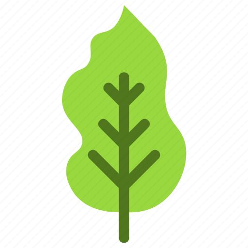 Lemon, leaf, nature, ecology, botany, biology icon - Download on Iconfinder