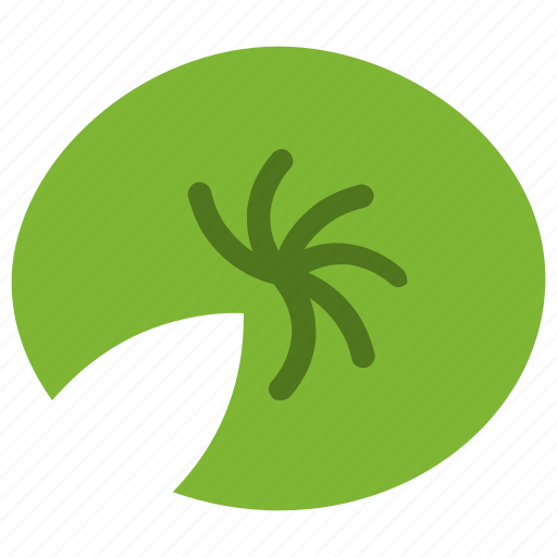 Lotus, leaf, nature, ecology, botany, biology icon - Download on Iconfinder