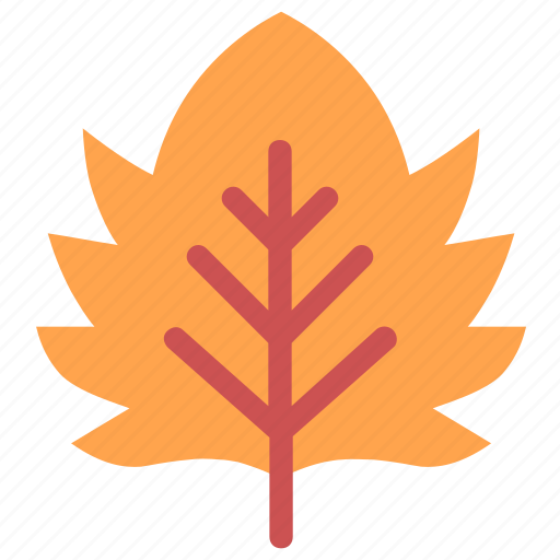 Maple, leaf, nature, ecology, botany, biology, autumn icon - Download on Iconfinder