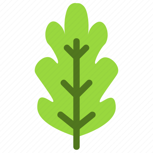 Oak, leaf, nature, ecology, botany, biology icon - Download on Iconfinder