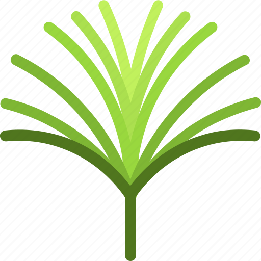 Papyrus, frond, leaf, nature, ecology, botany, biology icon - Download on Iconfinder