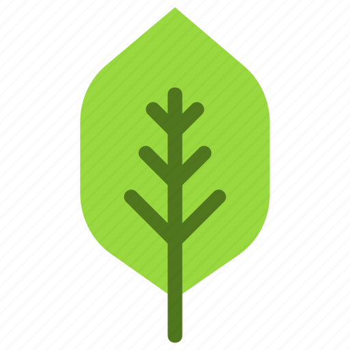 Quince, leaf, nature, ecology, botany, biology icon - Download on Iconfinder