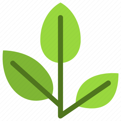 Scrub, hickory, leaf, nature, ecology, botany, biology icon - Download on Iconfinder