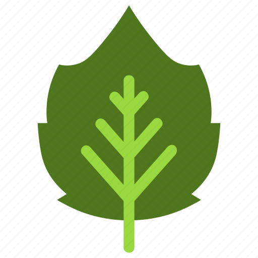 Sour, cherry, leaf, nature, ecology, botany, biology icon - Download on Iconfinder