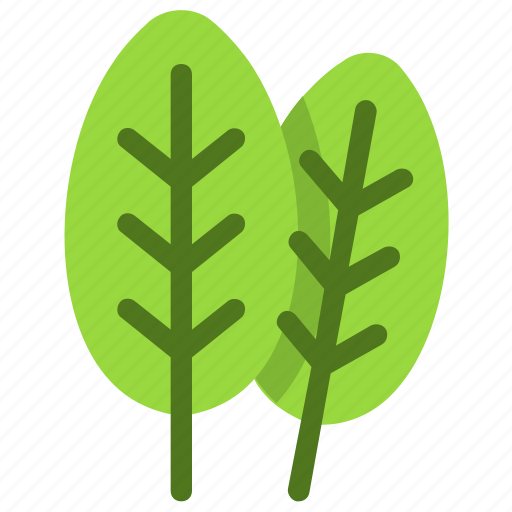 Spinach, leaves, leaf, nature, ecology, botany, biology icon - Download on Iconfinder