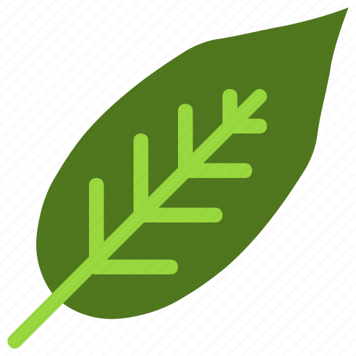Sweet, cherry, leaf, nature, ecology, botany, biology icon - Download on Iconfinder