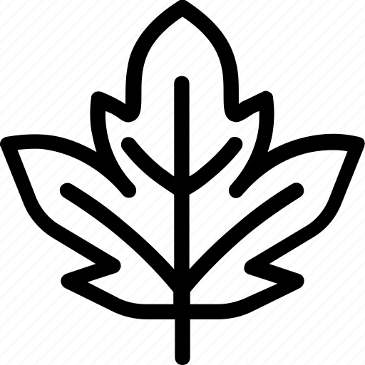 Blackcurrant, leaf, nature, ecology, botany, biology icon - Download on Iconfinder