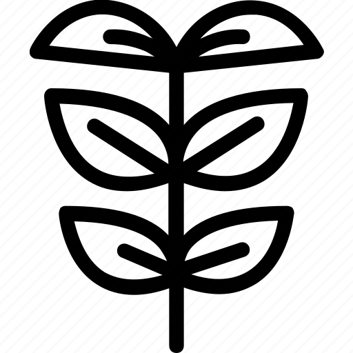 Rowan, leaves, leaf, nature, ecology, botany, biology icon - Download on Iconfinder