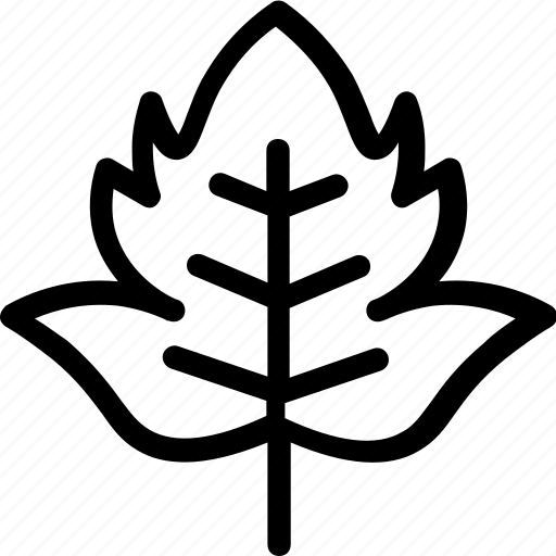 Viburnum, leaf, nature, ecology, botany, biology icon - Download on Iconfinder