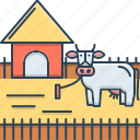 cattle, domestic, feeding, pet, ranching
