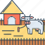 cattle, domestic, feeding, pet, ranching 
