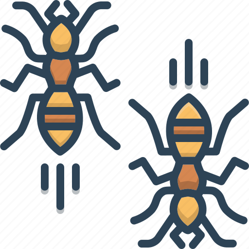 Animal, ants, bug, hardworking, insect, small icon - Download on Iconfinder