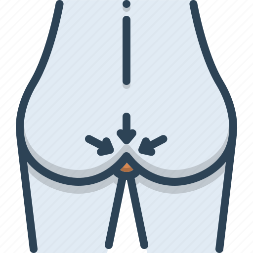 Anal, anus, body part, cellulite, human, rectum, skin icon - Download on Iconfinder