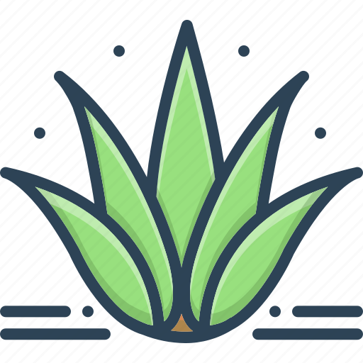 Agave, alovera, cactus, foliage, herbal, nature, plant icon - Download on Iconfinder