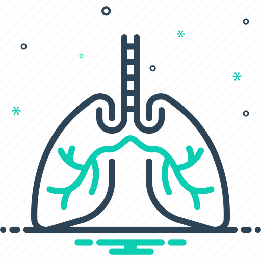 Breath, bronchi, health, human, lung, pulmonary, respiratory icon - Download on Iconfinder