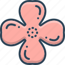 clover, design, four leaf, leaf, quatrefoil, symbole