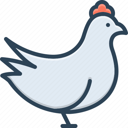 Chicken, animal, cock, butcher, meat, hen, domestic icon - Download on Iconfinder