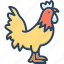 cocks, rooster, poultry, beak, bird, chicken, livestock 