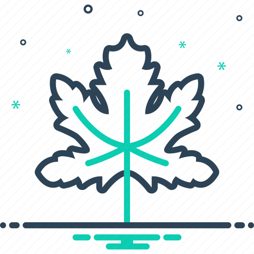 Maple, leaf, nature, botany, tree, maple leaf icon - Download on Iconfinder