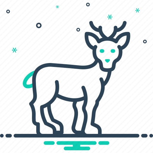 Doe, deer, reindeer, moose, antelope, female deer, roe deer icon - Download on Iconfinder