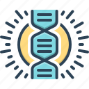 genome, gene, dna, helix, spiral, chromosome, heredity