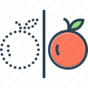 anterior, former, fruit, gone by, past, previous, prior