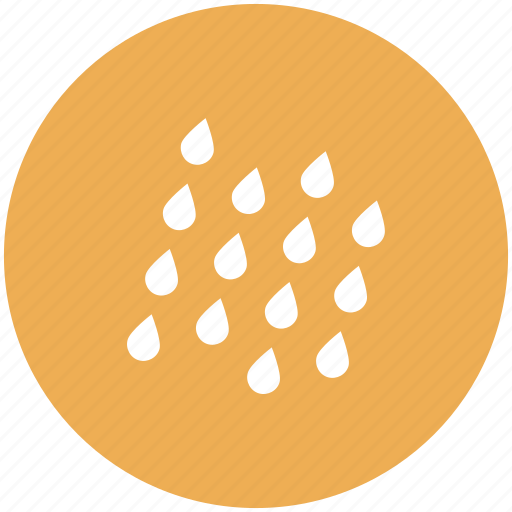 Cloud, drop, forecast, rain, water, weather icon icon - Download on Iconfinder