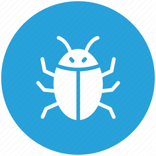 Bee, bug, insect icon - Download on Iconfinder on Iconfinder