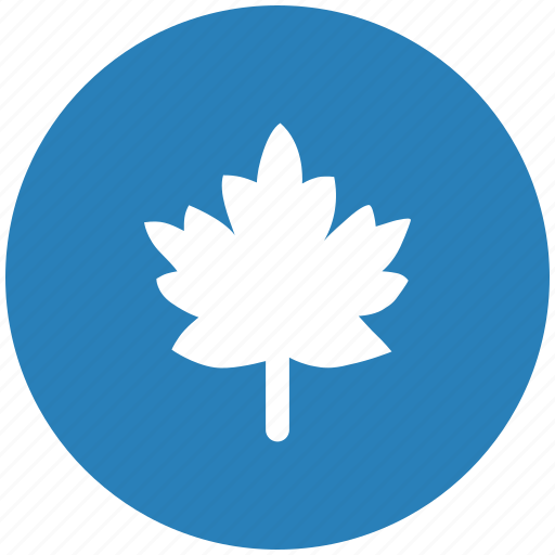 Blue, canada, leaf, nature, round icon - Download on Iconfinder