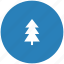 blue, fir, forest, round, tree 