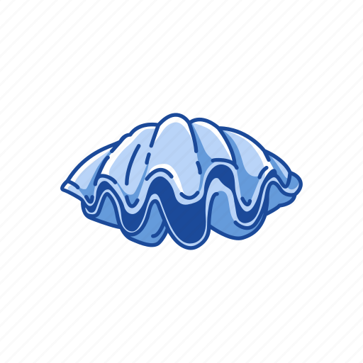 Clamp, food, marine animal, mollusc, seafood, seashell, shell icon - Download on Iconfinder