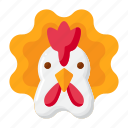 rooster, chicken, animal, bird