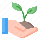 plant, sprout, growth, farming, gardening, hand, ecology