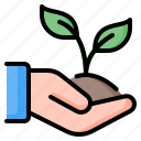 plant, sprout, growth, farming, gardening, hand, ecology