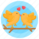 birds pair, birds couple, love birds, creature, agapornis