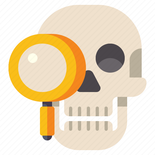Anthropology, human, museum, skull icon - Download on Iconfinder