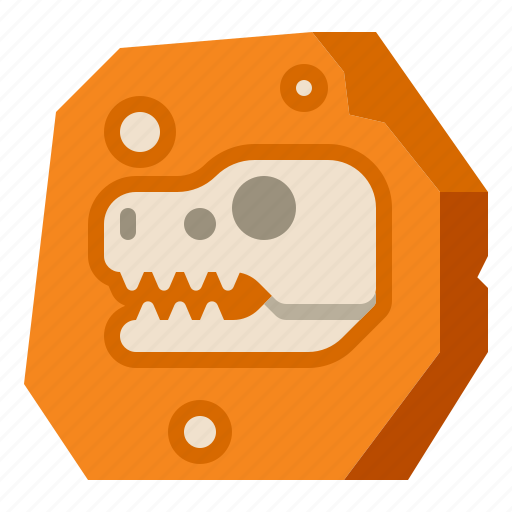 Bones, dinosaur, museum, skull icon - Download on Iconfinder