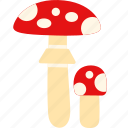 mushroom, forest, fly agaric, toadstool, amanita