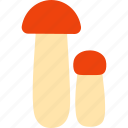 mushrooms, mushroom, forest, edible mushroom, boletus, orange-cap, fungus