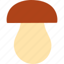 porcini, mushroom, fungus, edible mushroom, cep, boletus, forest