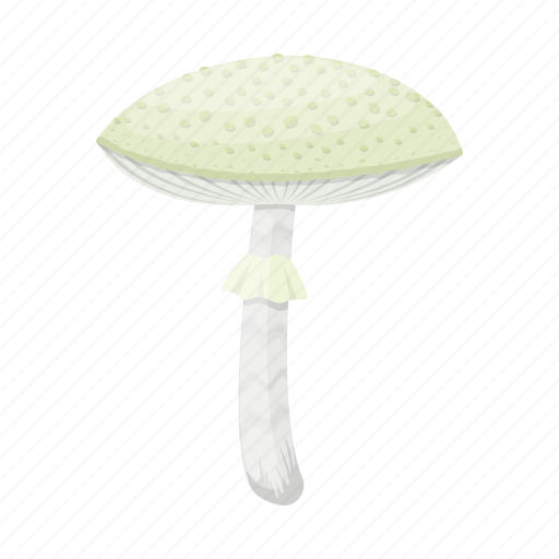 Amanita, fungus, mushroom, nature, plant, toadstool, toxic icon - Download on Iconfinder