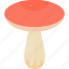 agaric, fly, forest, mushrooms 